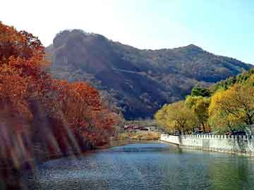 澳门天天彩期期精准平肖，深圳机场到罗湖口岸